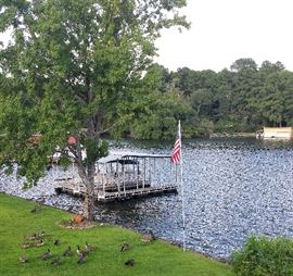 Million dollar view of Lake Hamilton and creatures. No the pontoon boat is not for sale.