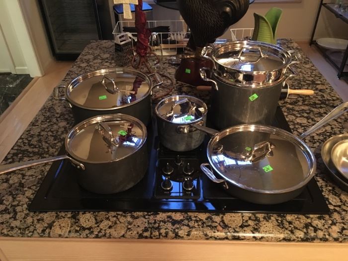 13 Piece All-Clad LTD Pots, good condition, asking $500 for the set   Item#166