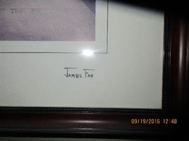James Fan signed print framed and matted