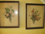 Botanical prints