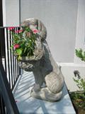 2 concrete dog accents