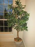 nice Artificial Tree for any room in the house or even on the Patio