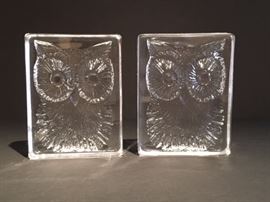 Pair of owls