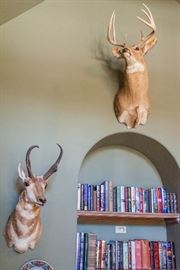 The game trophies? They're not for sale. Please don't ask.