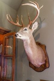 Nope. Nope. Nope. Not for sale. (Matt wouldn't look good in orange. Neither would you. And we hear that prison food is awful.)