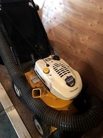 Cub Cadet Chipper/Mulcher/Vac...Get those leaves!...