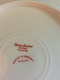 Theodore Haviland Limoges France hand painted and distributed by Burley and Company Chicago