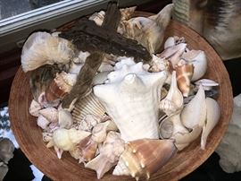 Fabulous shells and driftwood cross.