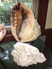 Even larger, -- like "don't get into the water" large.