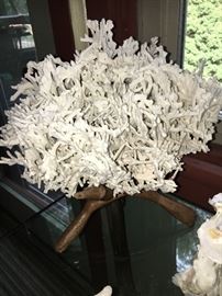 Giant piece of "vintage" coral - (can't pick it now!) -- on wooden stand. 