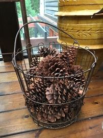 Bucket o pine cones 