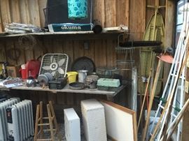 Great digging in the greenhouse! 