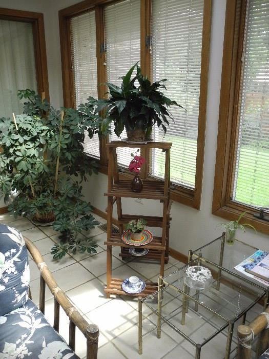 More plants and plant stand