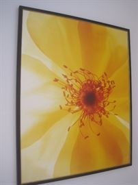 ORIGINAL "CAROL HENRY " PHOTOGRAPH 