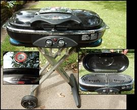 Coleman Paul Jr. Designs propane grill