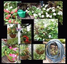 Hanging plants, pots, garden art and hoses