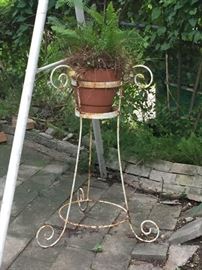 Lots of iron plant stands