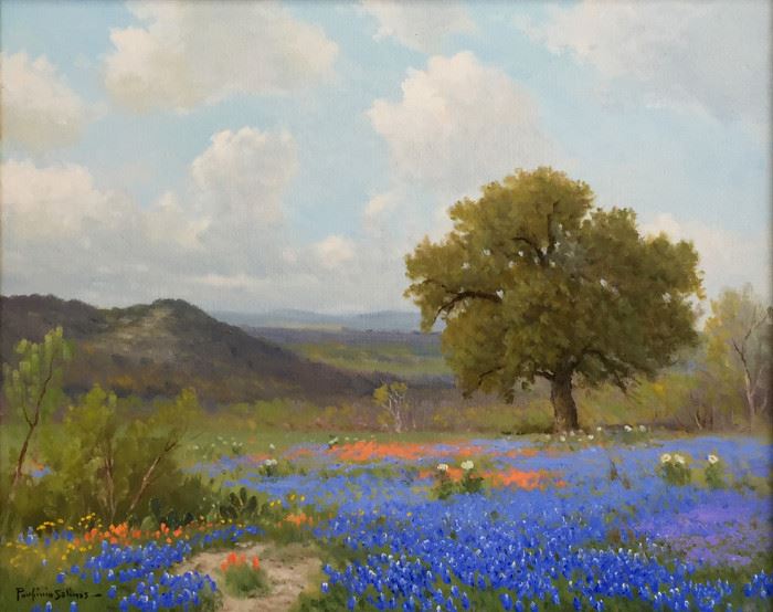 Beautiful Porfirio Salinas Bluebonnet.