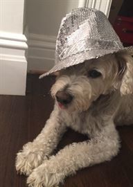 you can even buy my hat!