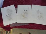 3 Harrison kitten prints