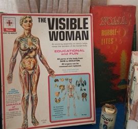 The Visible Woman (with miracles of birth option!) Noma bubble lights