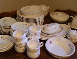 Franciscan Duet Rose dinnerware