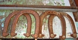 aaacraigslisthorseshoes1a