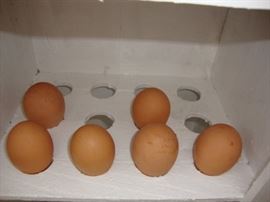 craigslisthillbillyhoosier1b