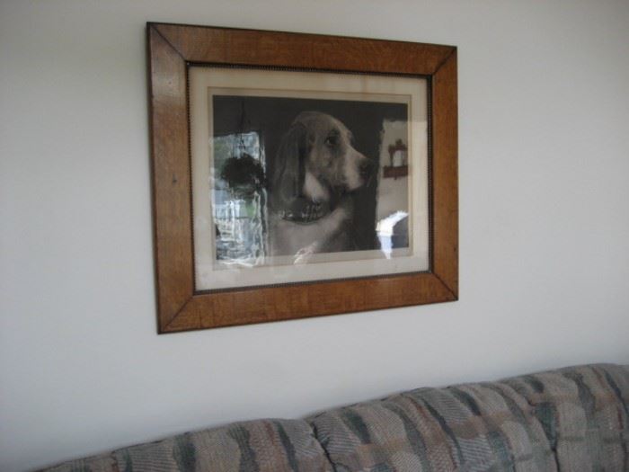 Oak-framed Dog Print