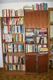 Book cases and hundreds of literature