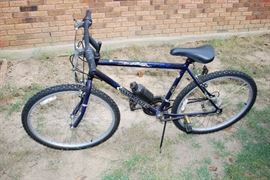 Roadmaster 12-Speed Mountain Bike