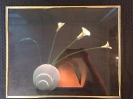  rad75D6B0174 Lily Framed Still Life Photo profile