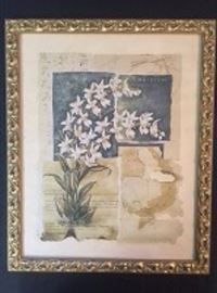  radADA2A0181 Lily Botanical Print Cymbidium By Richard A Henson LSA 026 profile