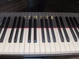 1986 Yamaha C3 Conservatory Grand Piano. Buy it now for $12,995. Call 952-261-6461 to schedule an appointment.