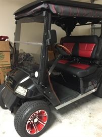 2 years old akin $7900.00