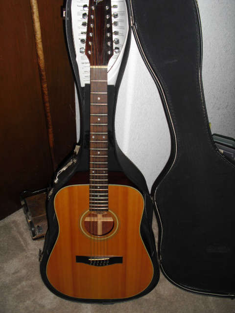 Fender 12 String Guitar with Case
