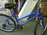 Schwinn Woman's Bike...excellent condition.