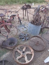 IRON SUPPLEMENTS FOR YOUR YARD