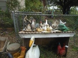 Chicken house, chickens ...man in background NOT FOR SALE!!! :)