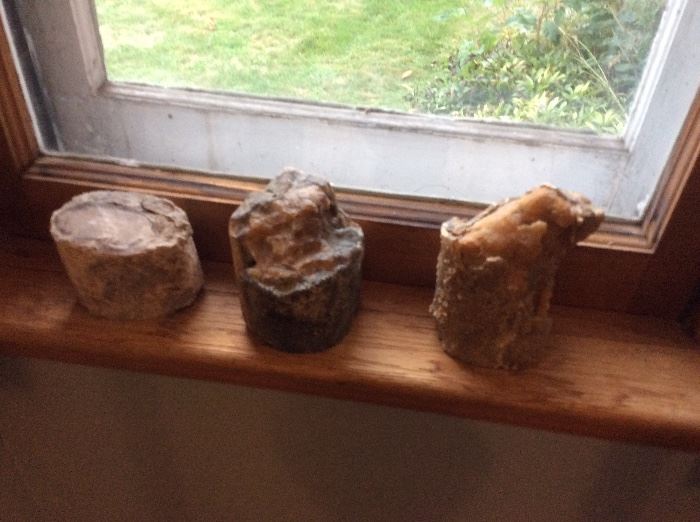 Some of MANY pieces of petrified wood