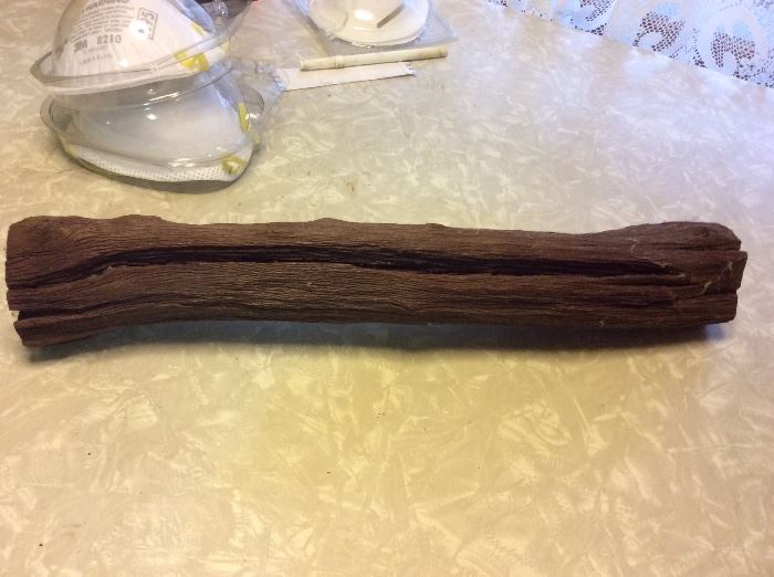 large piece of petrified wood