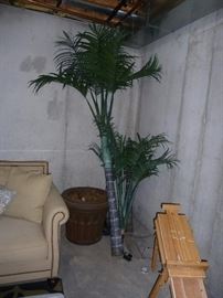 Palm tree and pot