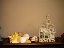 Seashells and more
