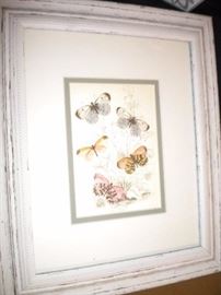 Butterly picture and frame