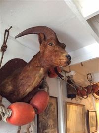 Taxidermy