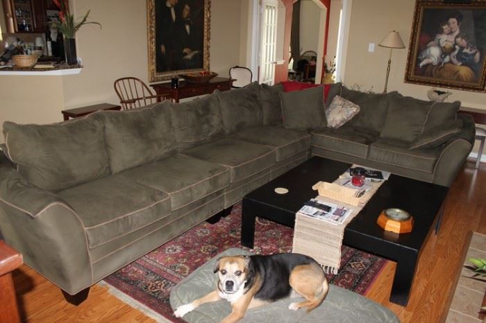 LARGE Grey Sectional Sofa in great condition, large coffee table and more!