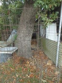 Texas size tomato cages
