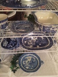 Other Bule Willow selections