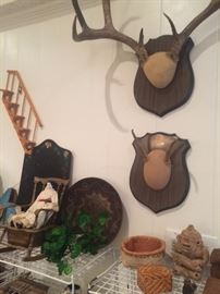 Deer mounts