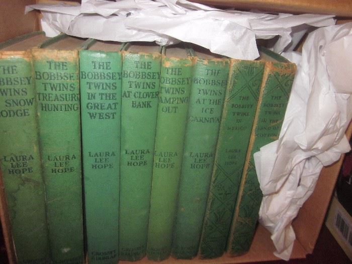 The Bobbsey Twins  books 